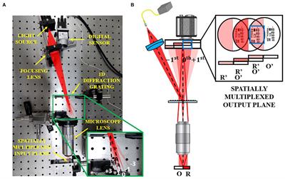 Single-Element Reflective Digital Holographic Microscopy